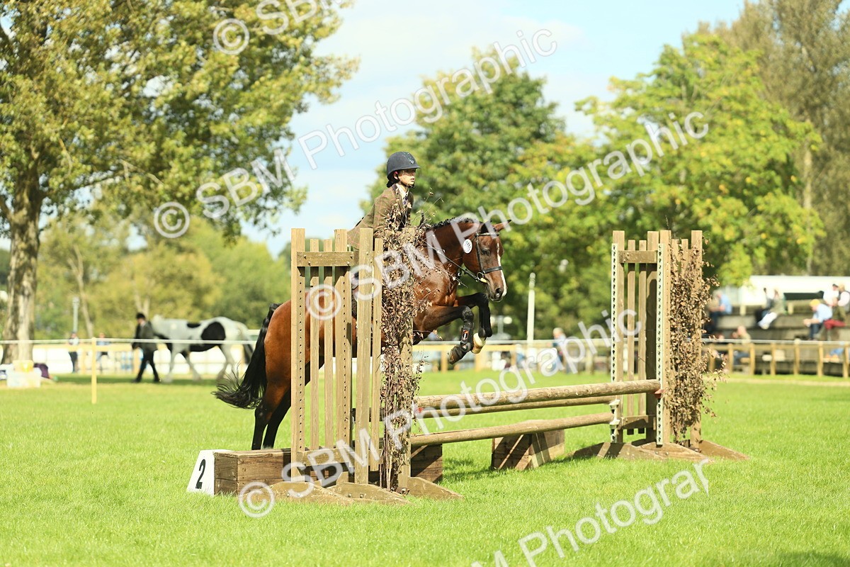 SBM_44584 - S31 - Working Hunter Pony