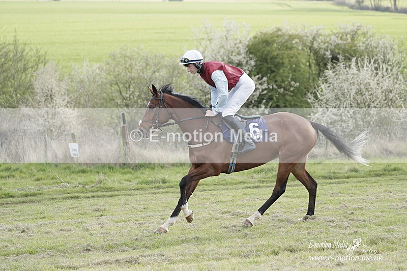 PtP 080423 924 - Dingley Races The Woodland Pytchley Hunt PtP 08/04/23
