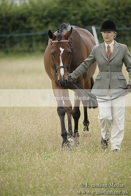 B230619-0233 - Bourne Valley Riding Club Summer Show 23/06/19