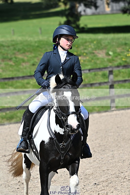 240729B-122217-02641 - Showjumping Competition