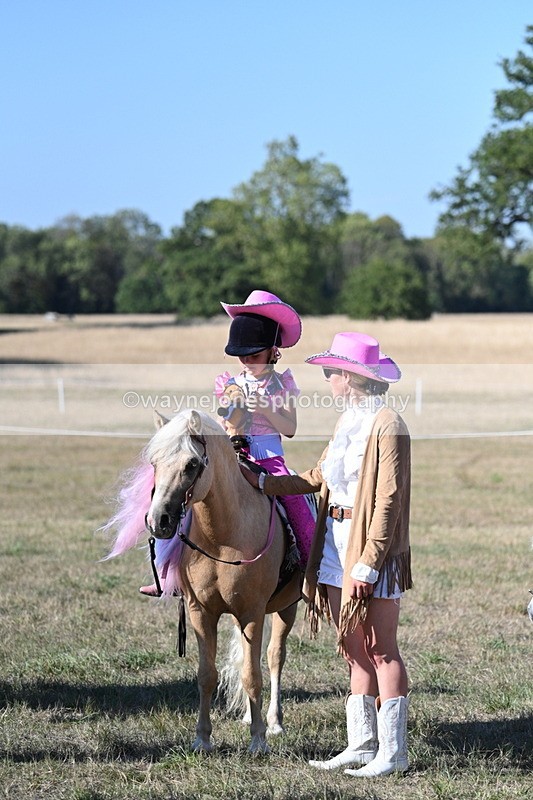 WJ7_2929 - Class 45 Fancy Dress (My Fav)