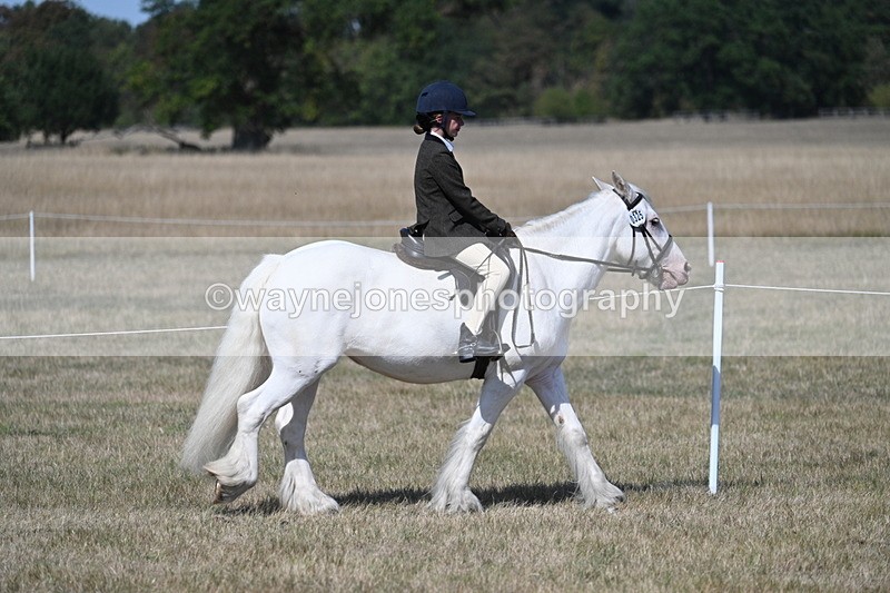 WJ7_1194 - Class 41 Prettiest Mare