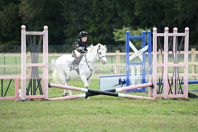 WJ6_0113 - 40cm Time 10:00 to 10:28
