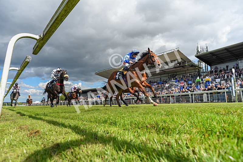 080624-Race 7-This Years Love-0689 - Race 7