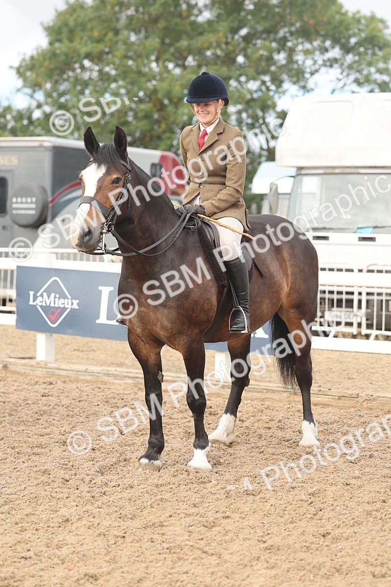 SBM_01935 - Class 14 - Ridden M&M Wildcard