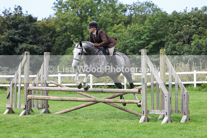 3E7A8855 - Class 6: Open Working Horse