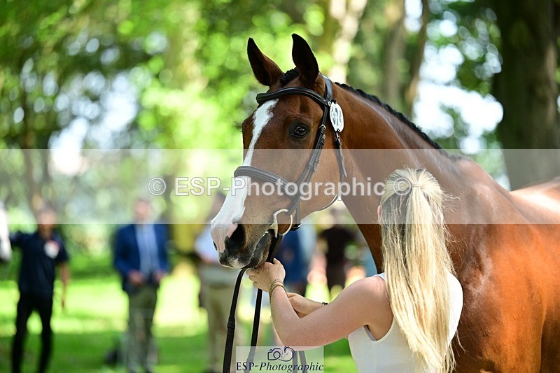 260527A-152728-01186 - C-374-Hannah.Nicolson