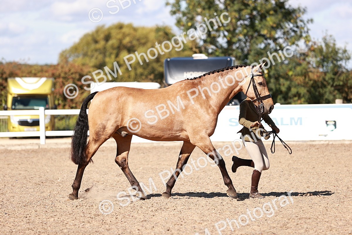 SBM_13299 - class 406 - IH Hunter