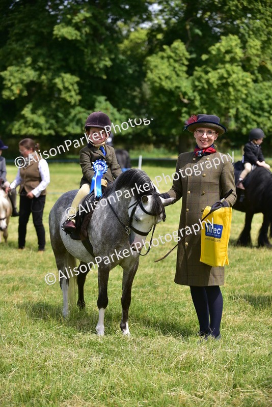 20260614-1289 - Class 11a - Lead Rein Pony (Unplaited)