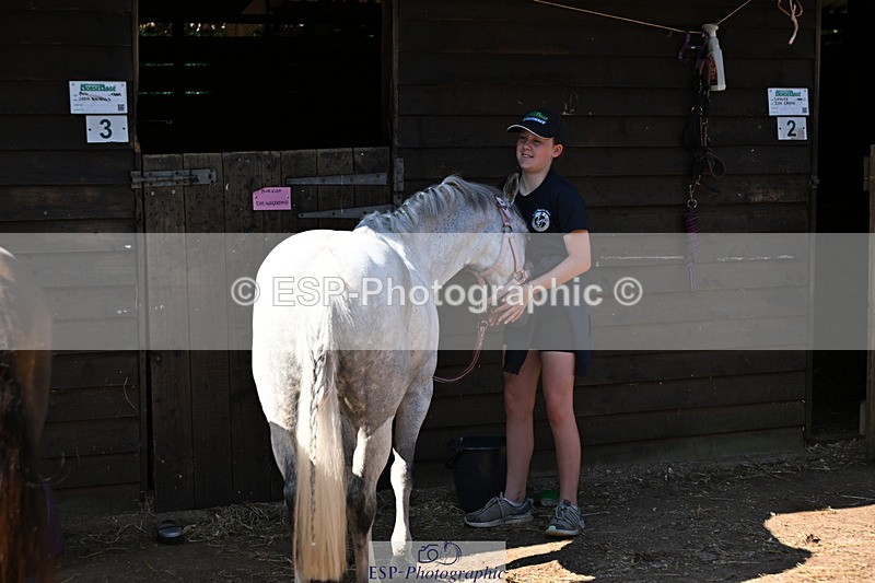240729B-092056-01773 - Monday Stable Shots