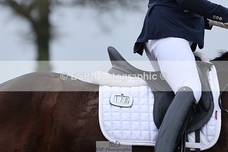 250216-120737-05656 - 170-Mandy.Day-Popeye.Vogelzang