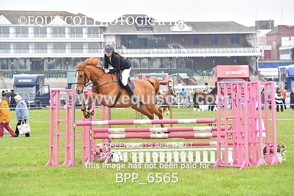 BPP_6565 - CLASS 1 Senior Newcomers/ 1.10m Open