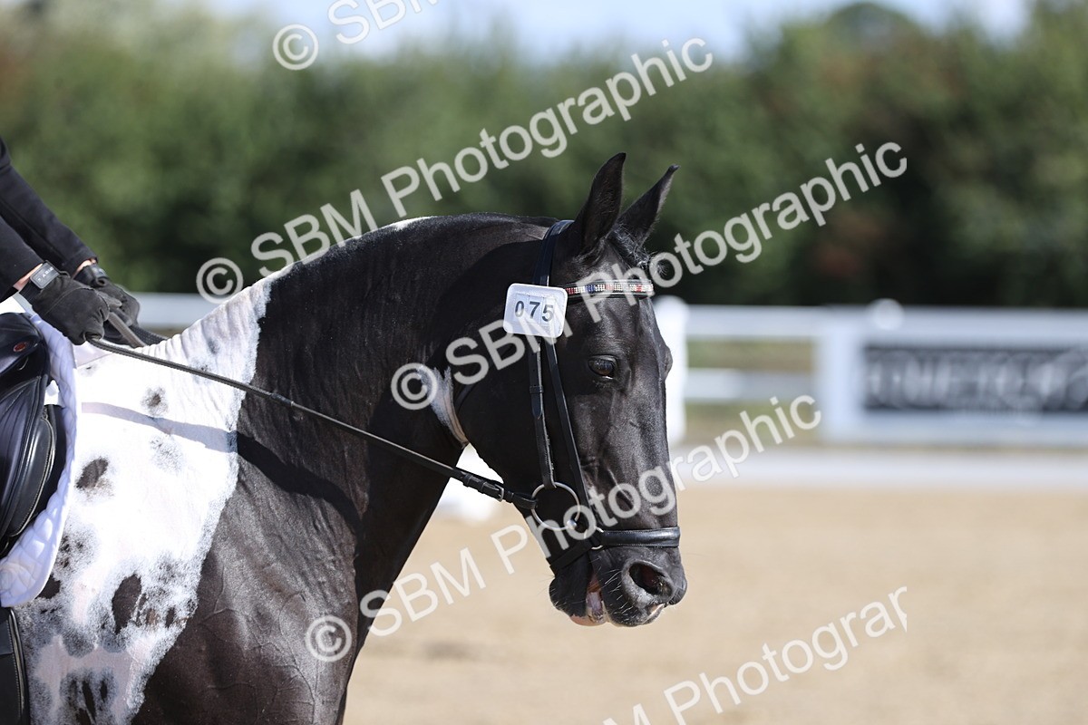 SBM_001154 - Class 2 - Intro 4 Champs - 9.44-10.38