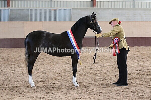 SIAL0425 - Indoor Classes