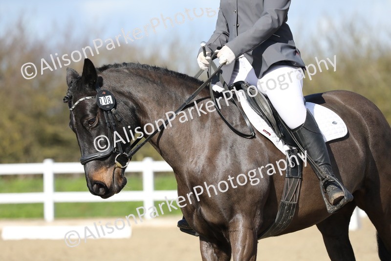 20260314-4854 - CT6 - Elementary 1