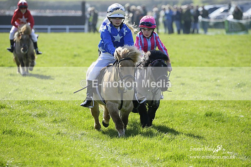 PtP 190322 12 - Wilton Hunt PtP Milborne St Andrew 19/03/22
