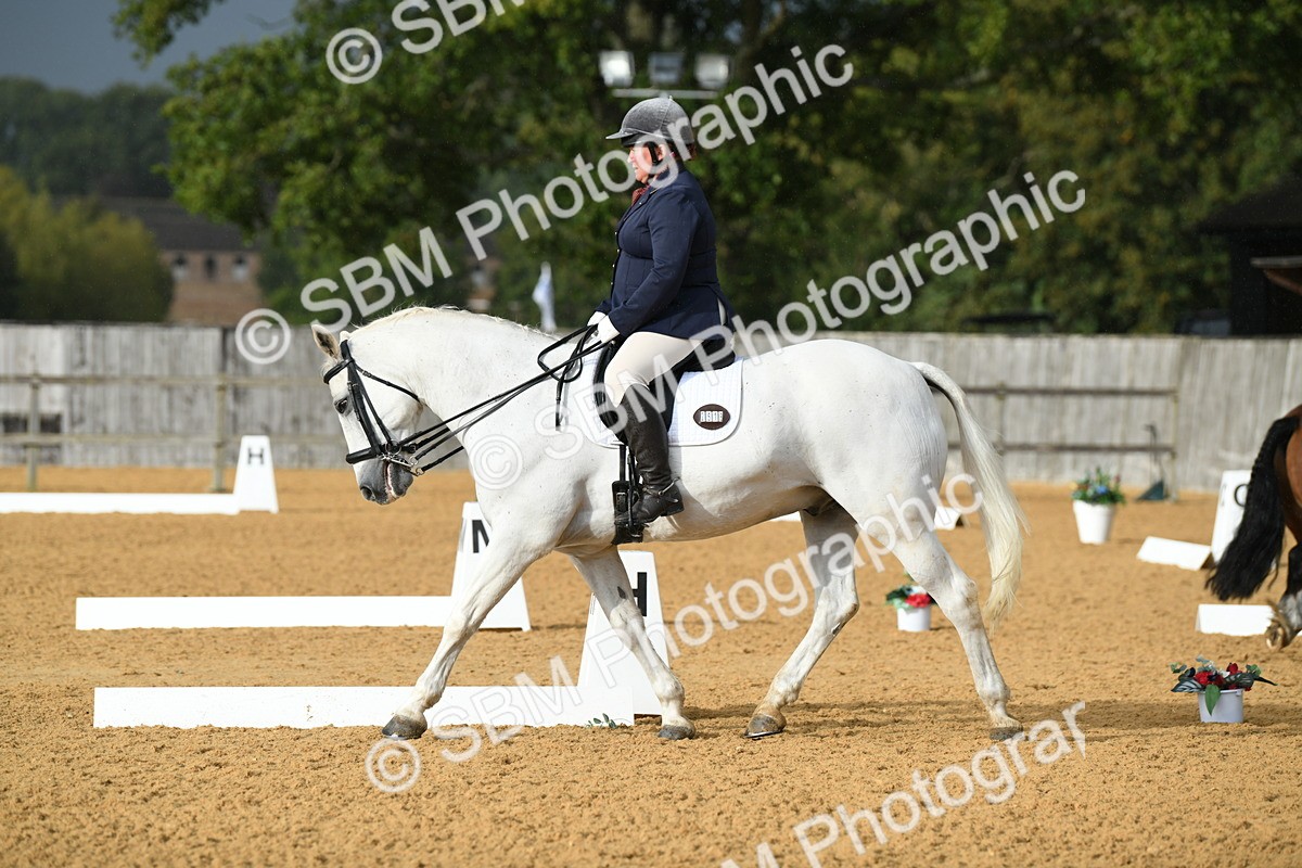 SBM_11110 - D28 Elementary Taster Elementary 42