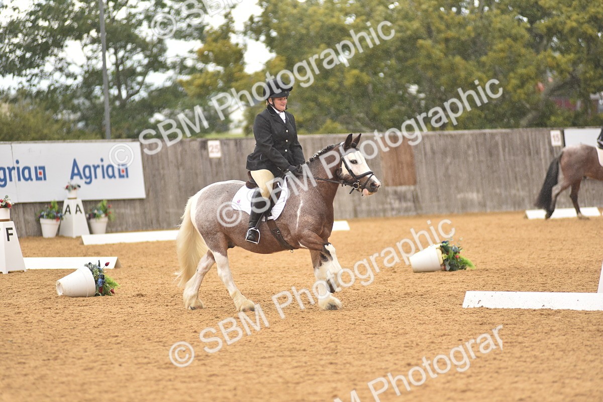 SBM_11276 - D15 - Small Tour Championship Novice 1