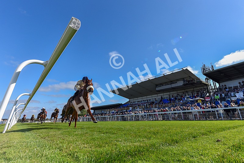 180924-Race 2-American Style-7225 - Race 2