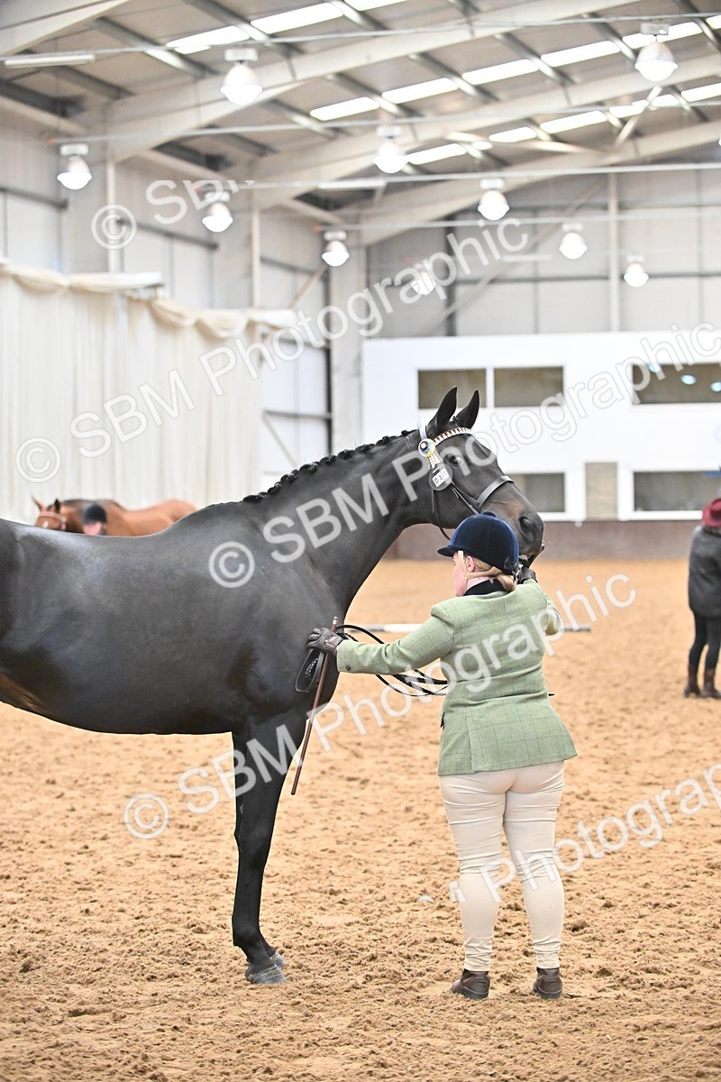 SBM_000240 - Class 7 - ROR Tattersalls In Hand