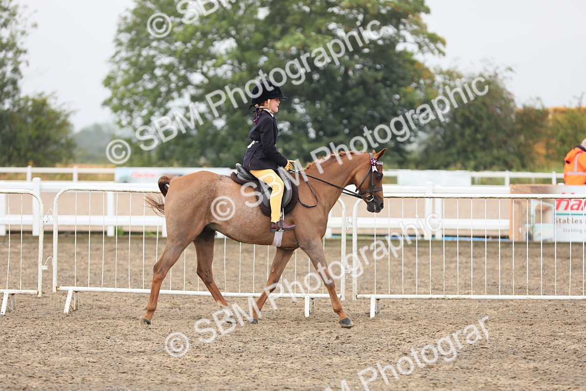 SBM_21717 - Class 806 - Young ridder 10 Yr & Under