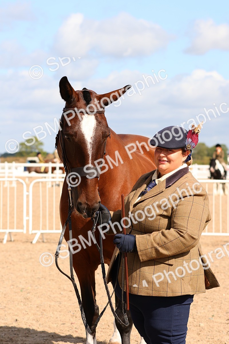SBM_11719 - Class 208 - IH Veteran Horse