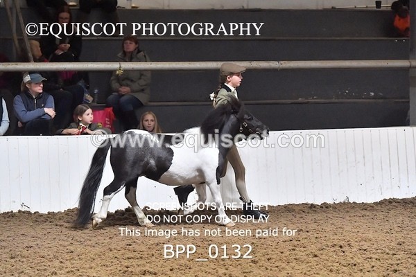 BPP_0132 - RING 1