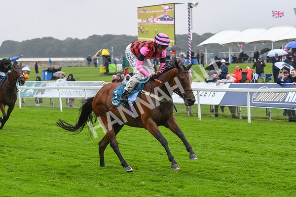 140723-Race 4-Andaleep-0403 - Race 4 3.50pm Azets Handicap