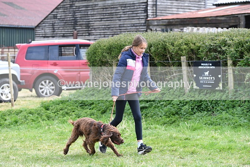 WJ5_9572 - Class 3 Most Handsome Dog