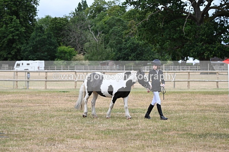 WJ6_4591 - Class 10 Coloured In-hand