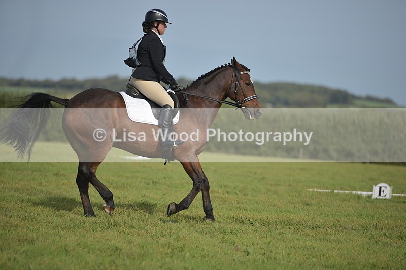 RAY_7755 - Class 2B: Trekenning Open: Dressage
