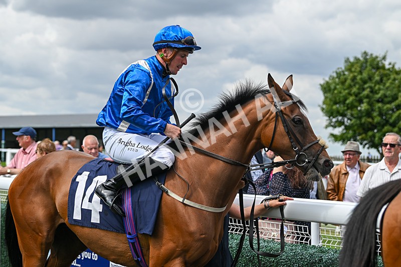 290725-Race 1-Poets Dawn - Star Start-9256 - Race 1