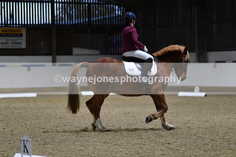 WJ5_8629 - Class 5 Novice Test 3