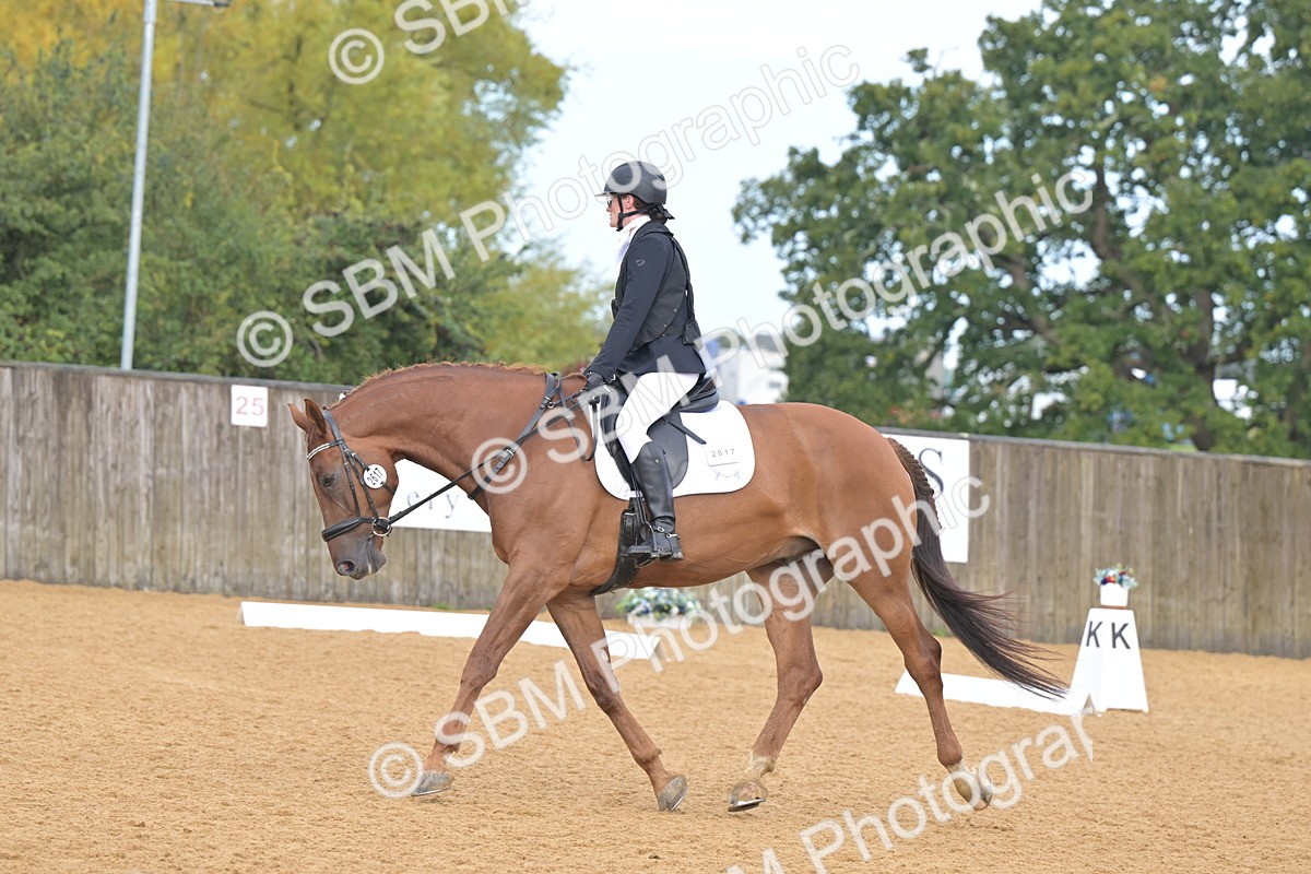 SBM_02329 - D2 - Small Tour Championship Intro 2
