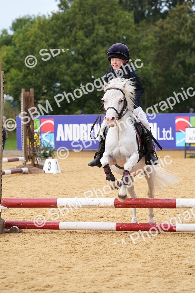 SBM_70610 - J3 - Mini Tour Junior Pony 40cm Championship