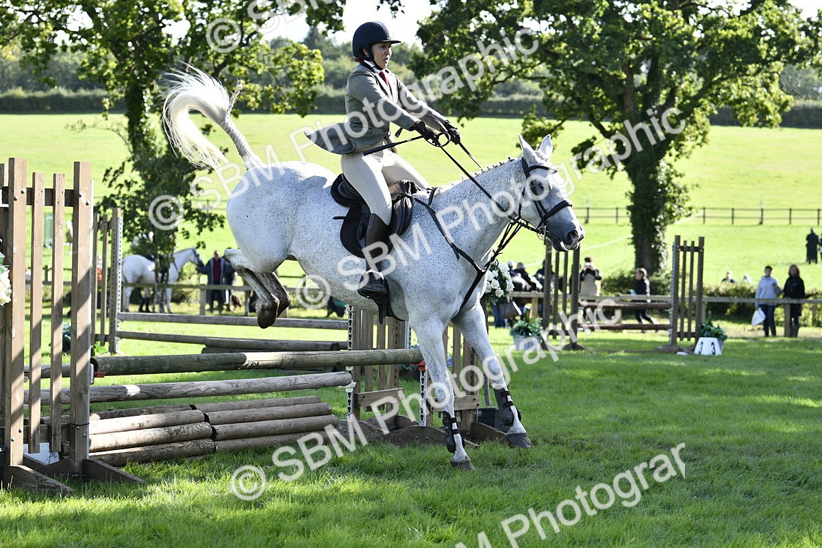 SBM_50022 - S34 - Novice & Newcomers Working Hunter