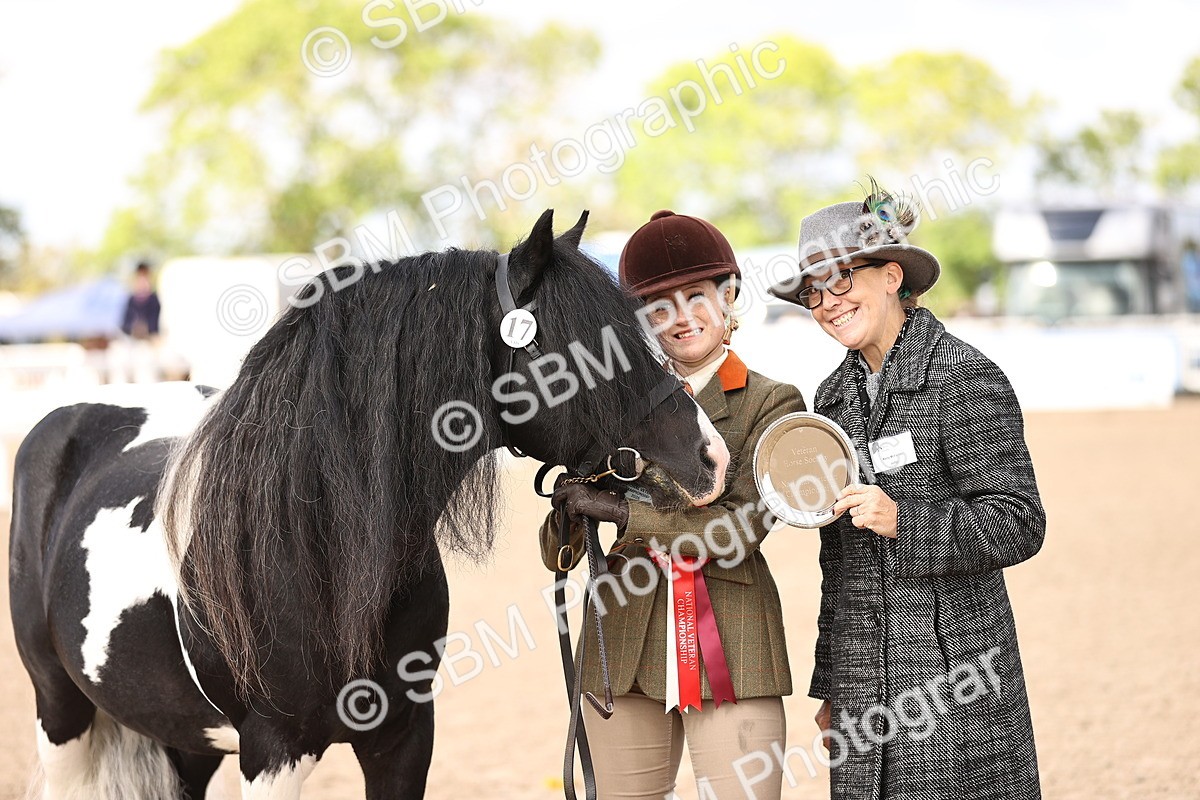 SBM_09325