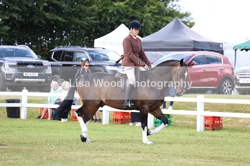 3E7A9655 - Class 5: Rising Star Lightweight/Heavyweight Cobs