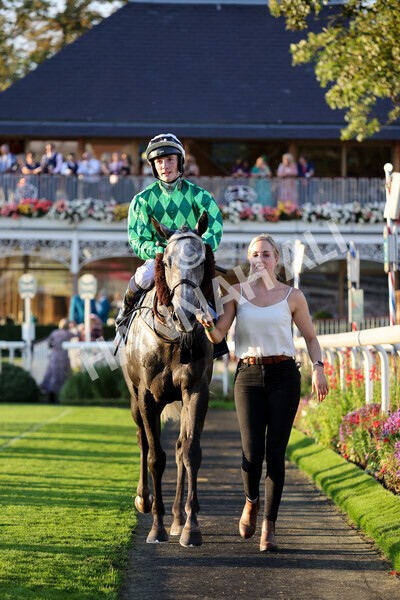 yr08102021r7-36 - Race 7 5.25pm The IRE Incentive, It Pays To Buy Irish Handicap