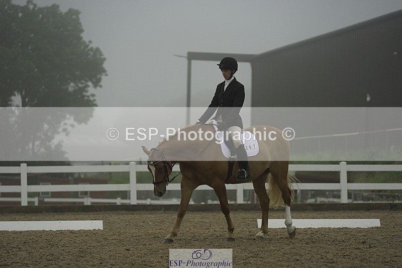 230708A-150156-03969 - Prelim 18