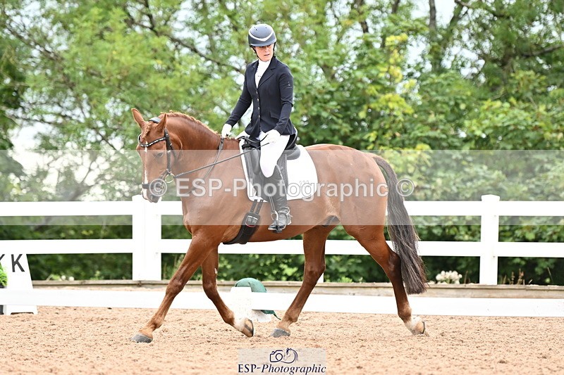 240817A-152430-10090 - 223-Pippa.Knight-KFS.Boston.Burglar