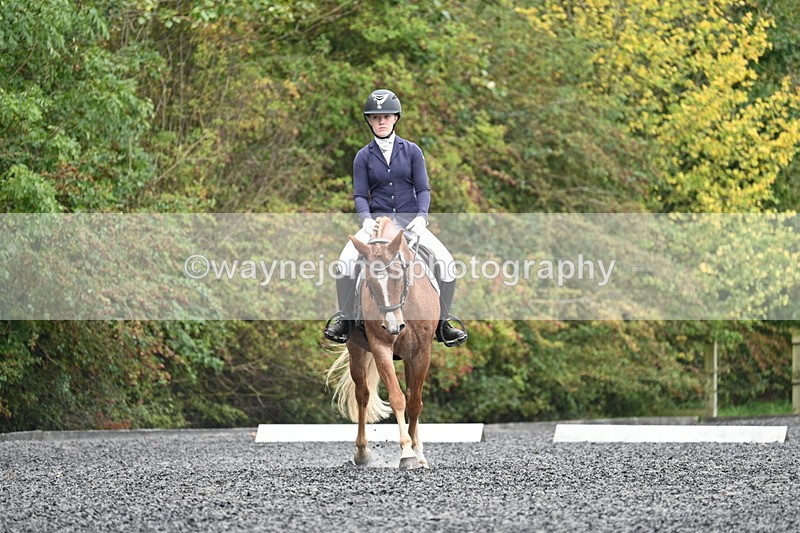 WJ7_3689 - Time 11:04 to 11:38