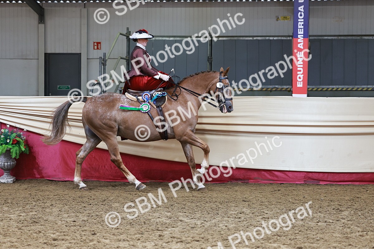 SBM_13650 - Class 105 - Ridden Costume - Side Saddle