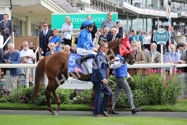 yr17082022r3-7 - Race 3 3.00pm Sky Bet Great Voltigeur Stakes