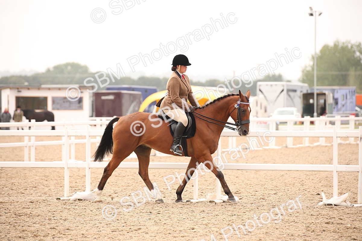 SBM_22200 - Class 708 - Ridden Rescue