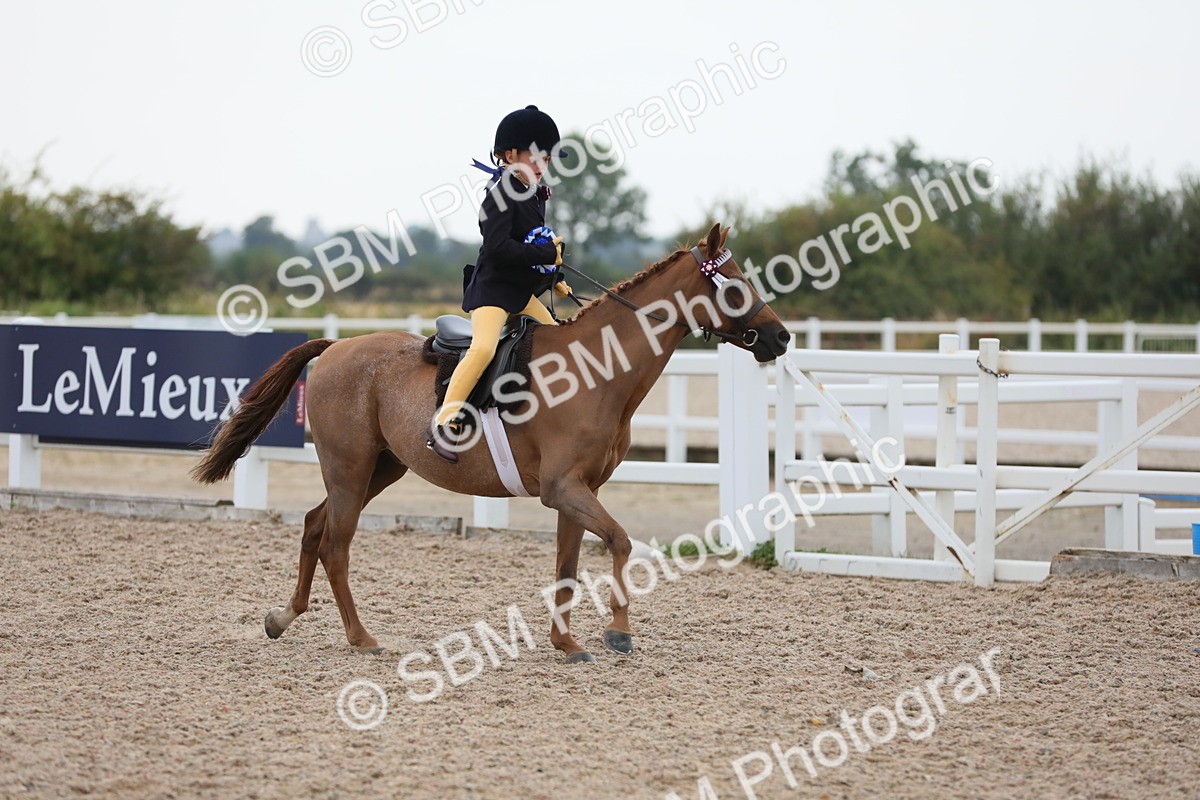 SBM_18257 - Class 316 Best Pony/Rider Combination