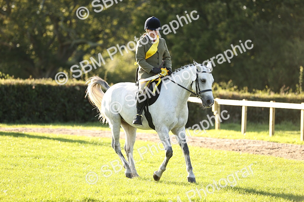 SBM_29656 - S7 - Novice & Newcomers Ridden Pony