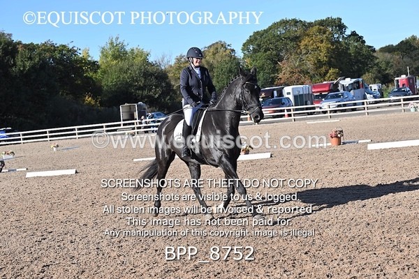 BPP_8752 - LONG ARENA