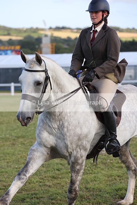 JPP_3541 - Class 22: Working Hunter 90cm