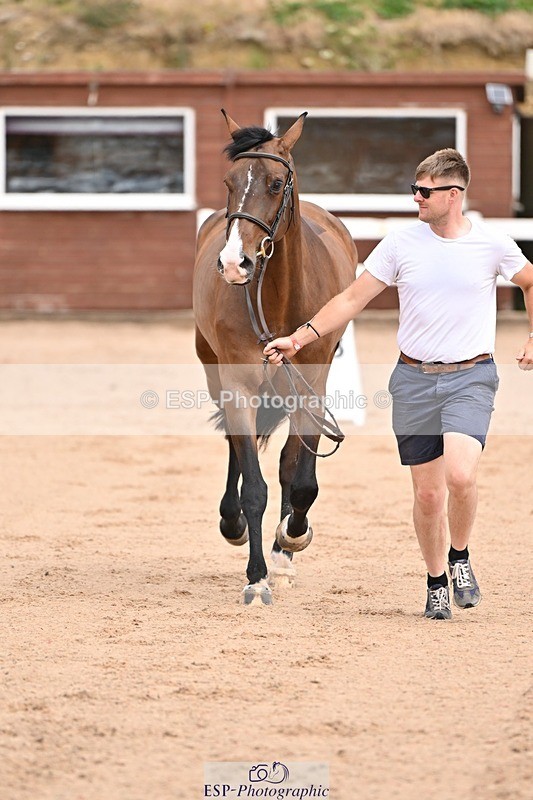 250716-150707-01638 - Trot Up 2.30 to 3.30